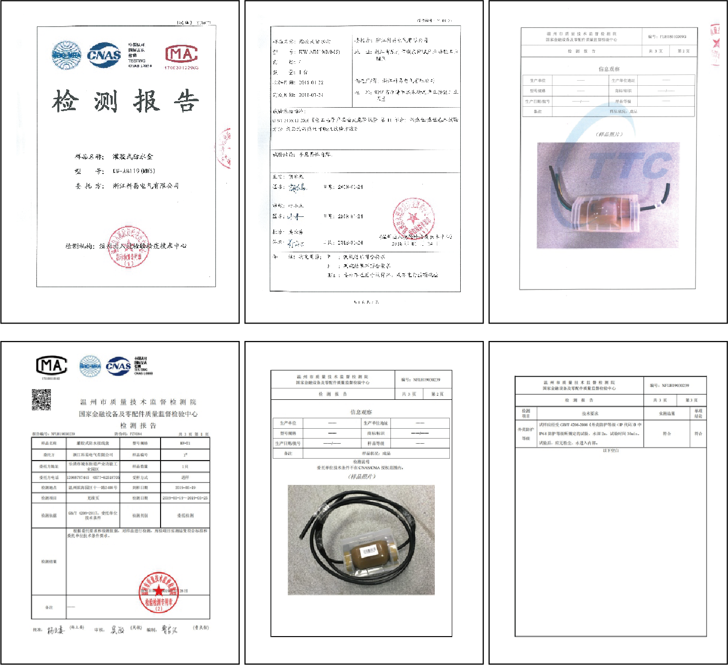 狮子会 - 打造绿色游戏娱乐